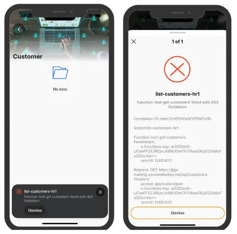 Standard REST error Standard REST error