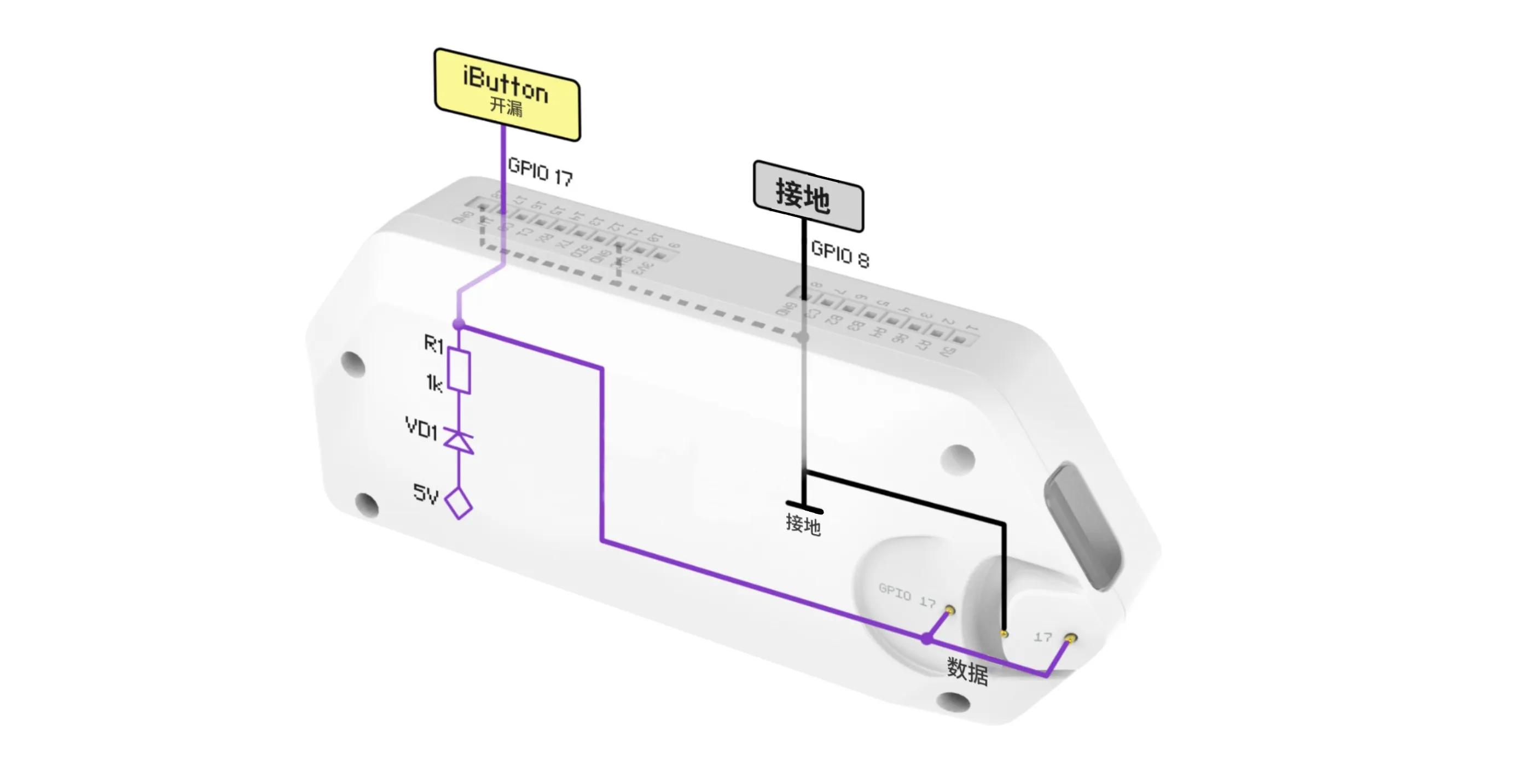 iButton 数据引脚引出到 GPIO 引脚 17