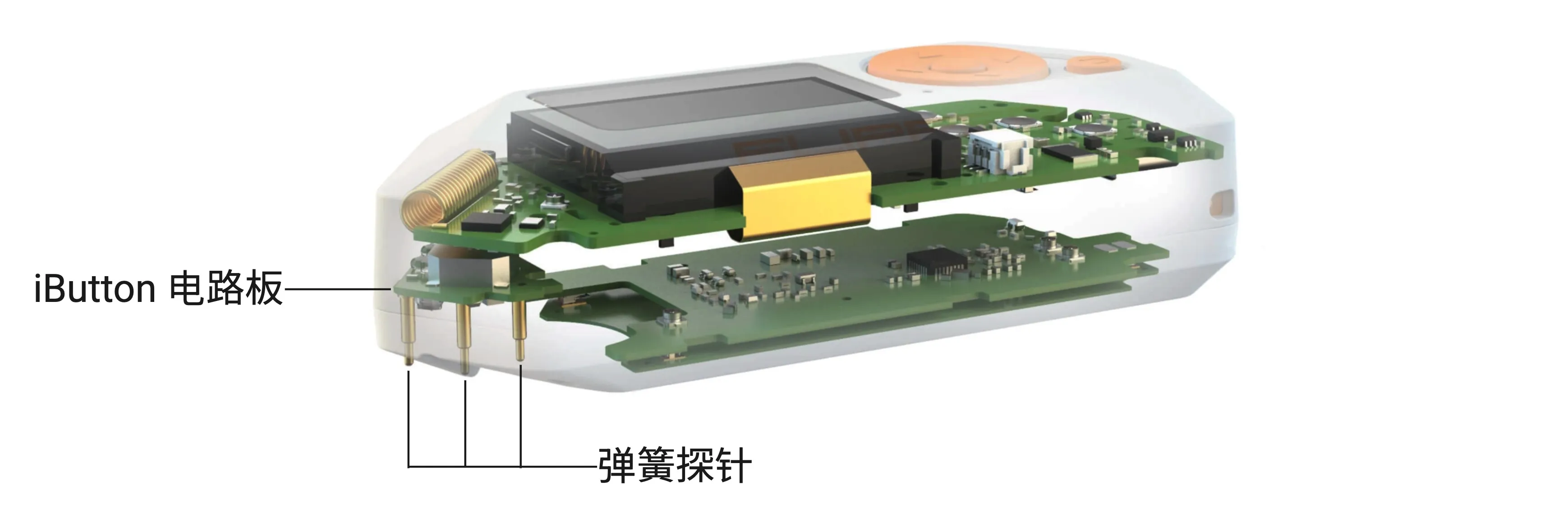 iButton 模块的引脚