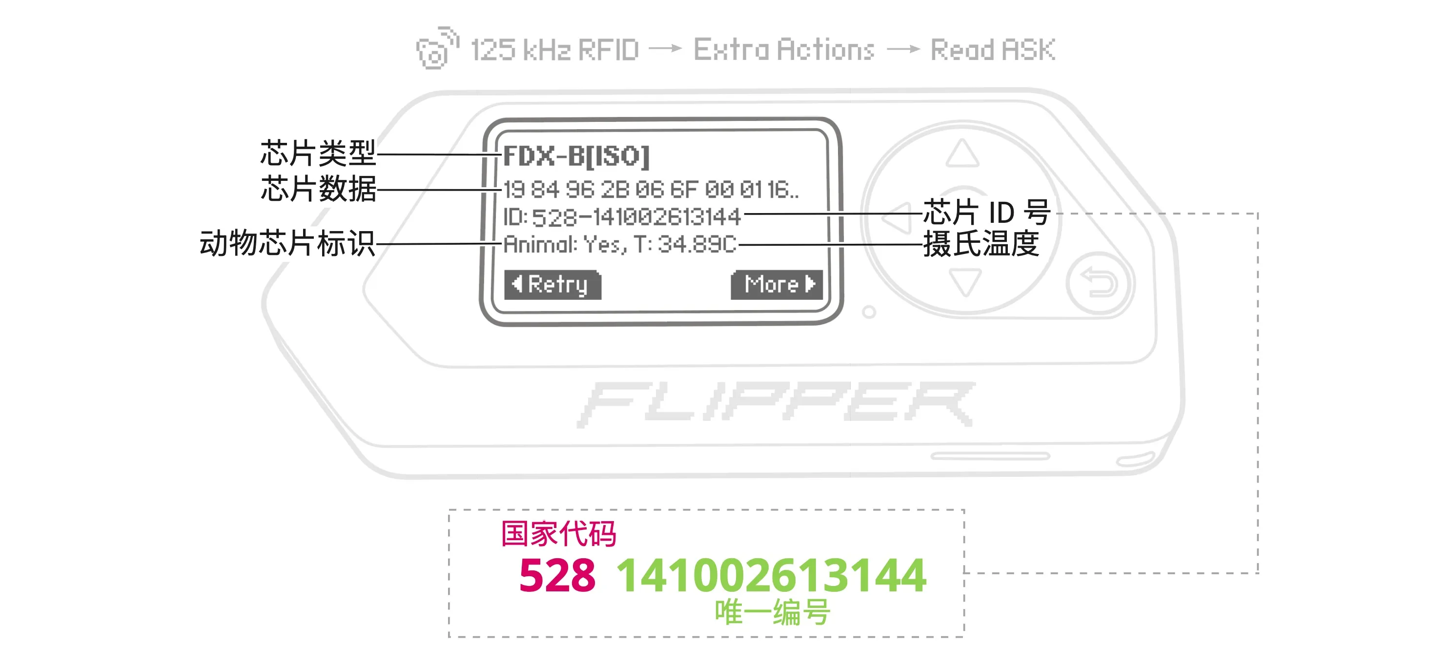 符合 ISO 标准的 FDX-B 芯片数据结构