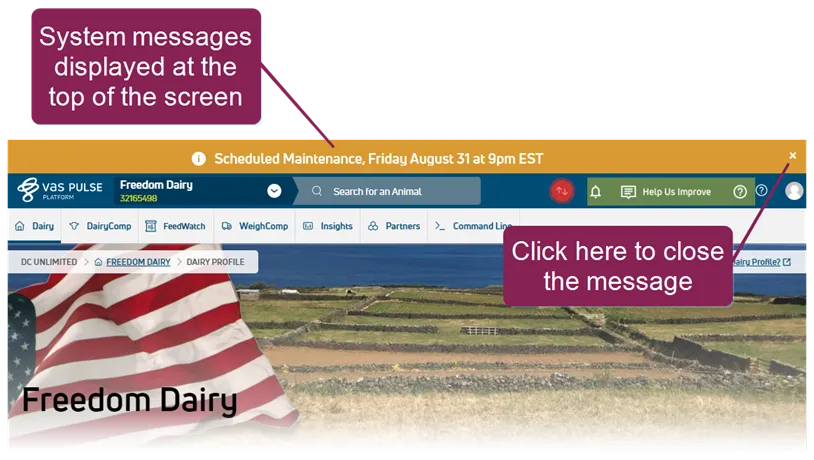 Document image Document image