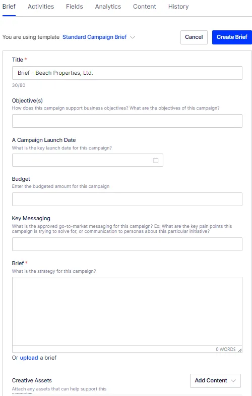 Create a Campaign Brief 3