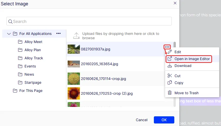 Document image