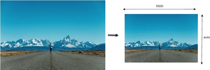 Document image Document image