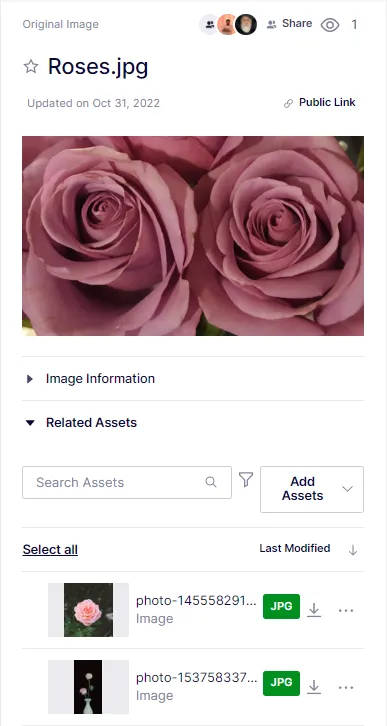 related-assets.png related-assets.png