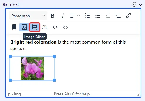 Document image Document image