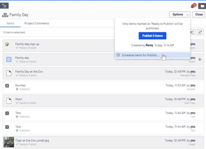 Schedule items for publishing Schedule items for publishing