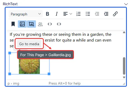 Document image