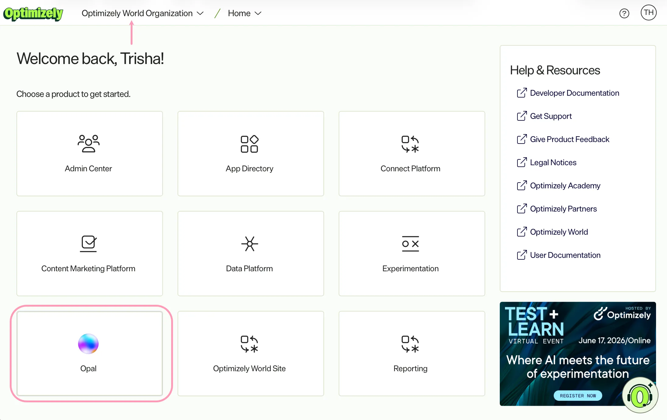 Optimizely home with Opal highlighted. Optimizely home with Opal highlighted.