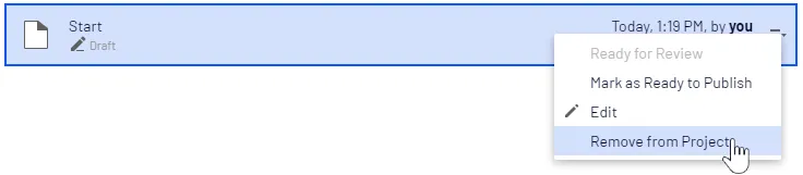 Removing item from project