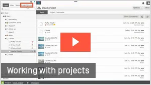 The projects feature