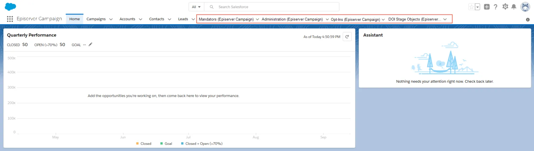 Bild: Reiter des Salesforce-Add-ons Bild: Reiter des Salesforce-Add-ons