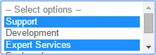 Example of multiple selections in drop-down list Example of multiple selections in drop-down list