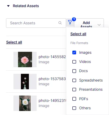 related-asset-filter.png related-asset-filter.png