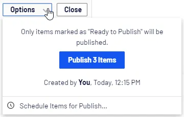 Publishing options