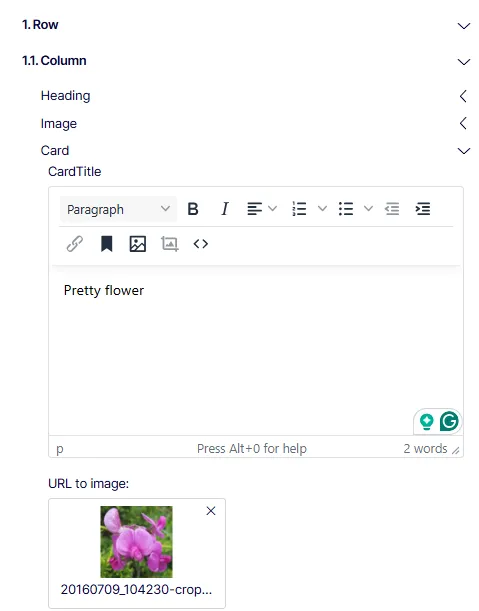 Document image