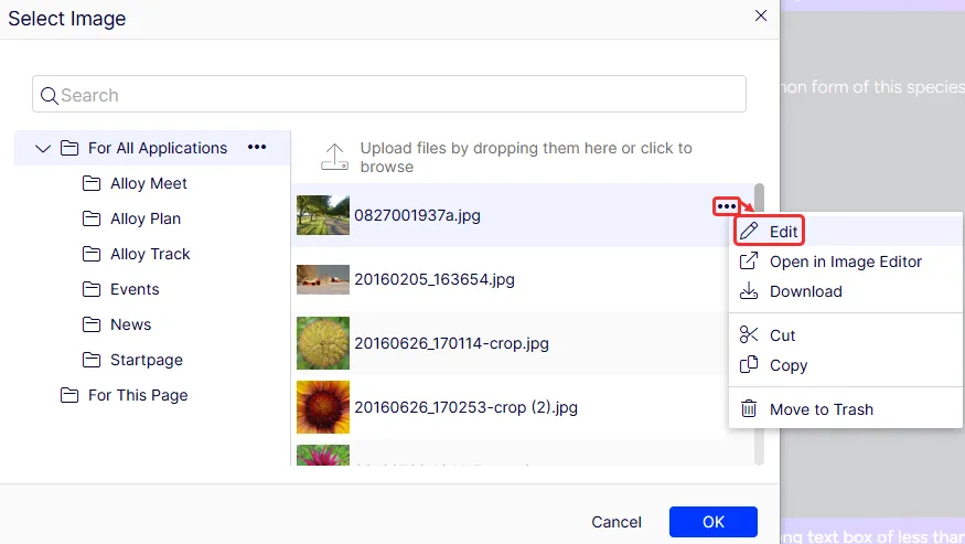 Document image