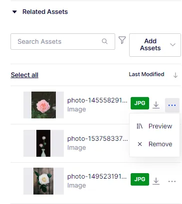 related-asset-remove.png related-asset-remove.png