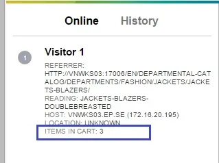 live-monitor-visitor-panel.png live-monitor-visitor-panel.png