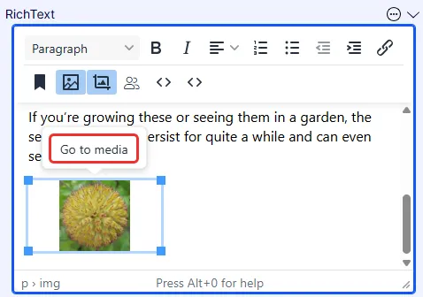 Document image Document image