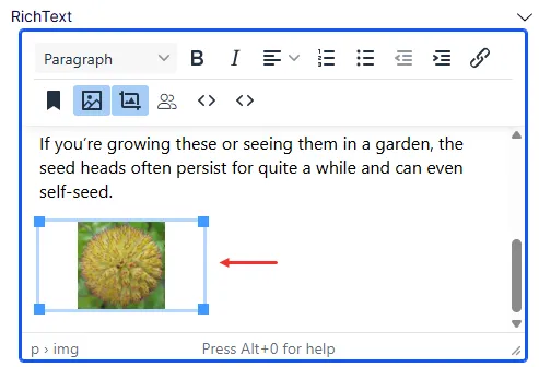 Document image Document image
