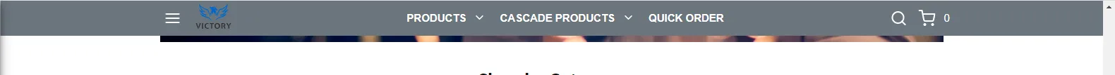 example_compact_header.png