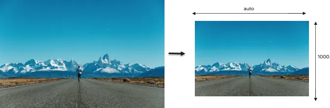 Document image Document image