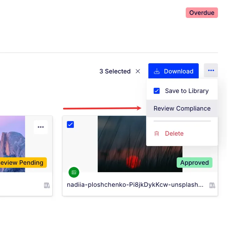Bulk Review.png Bulk Review.png