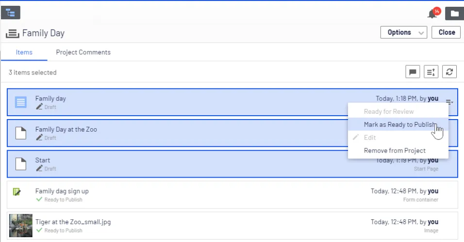 Selecting multiple items in project overview Selecting multiple items in project overview