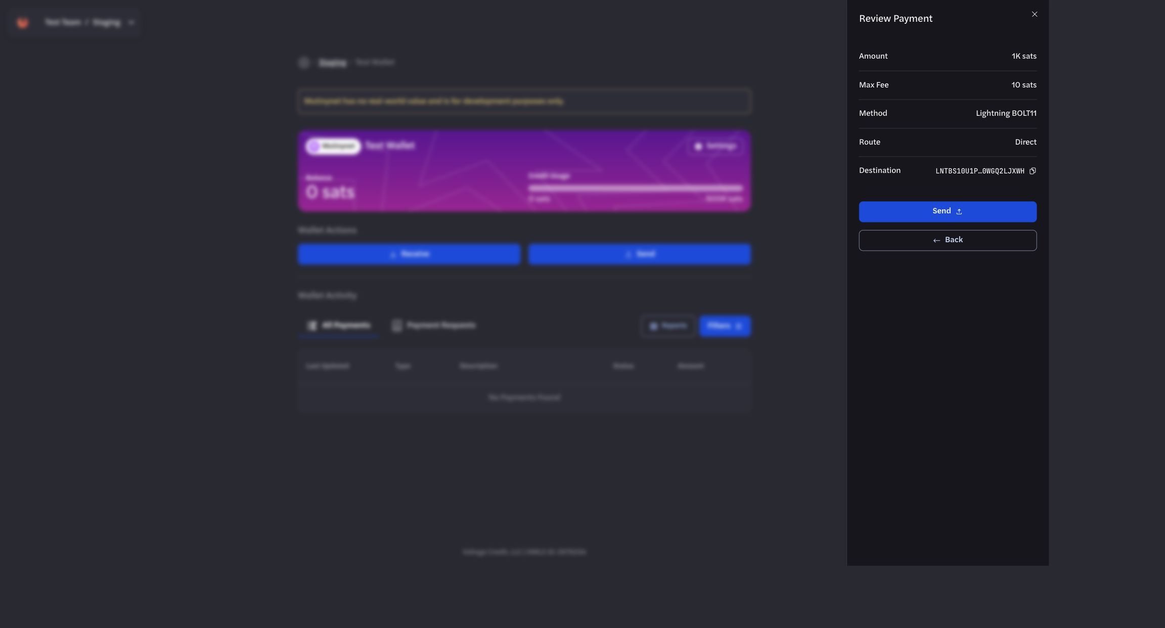 Test Lightning payment review drawer Test Lightning payment review drawer