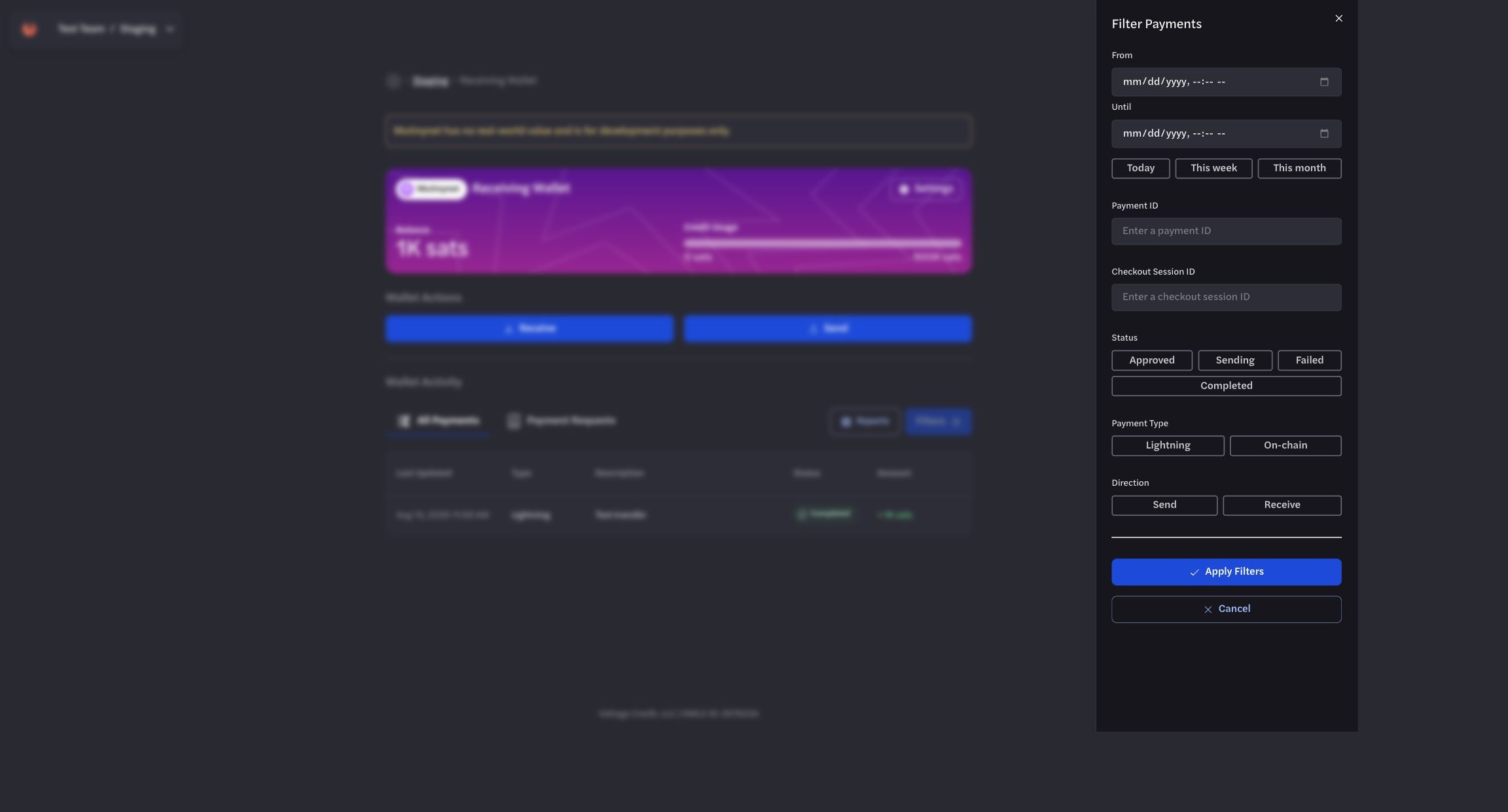 Payment activity filters for date, identifiers, status, type, and direction Payment activity filters for date, identifiers, status, type, and direction