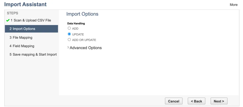 Select Import Options