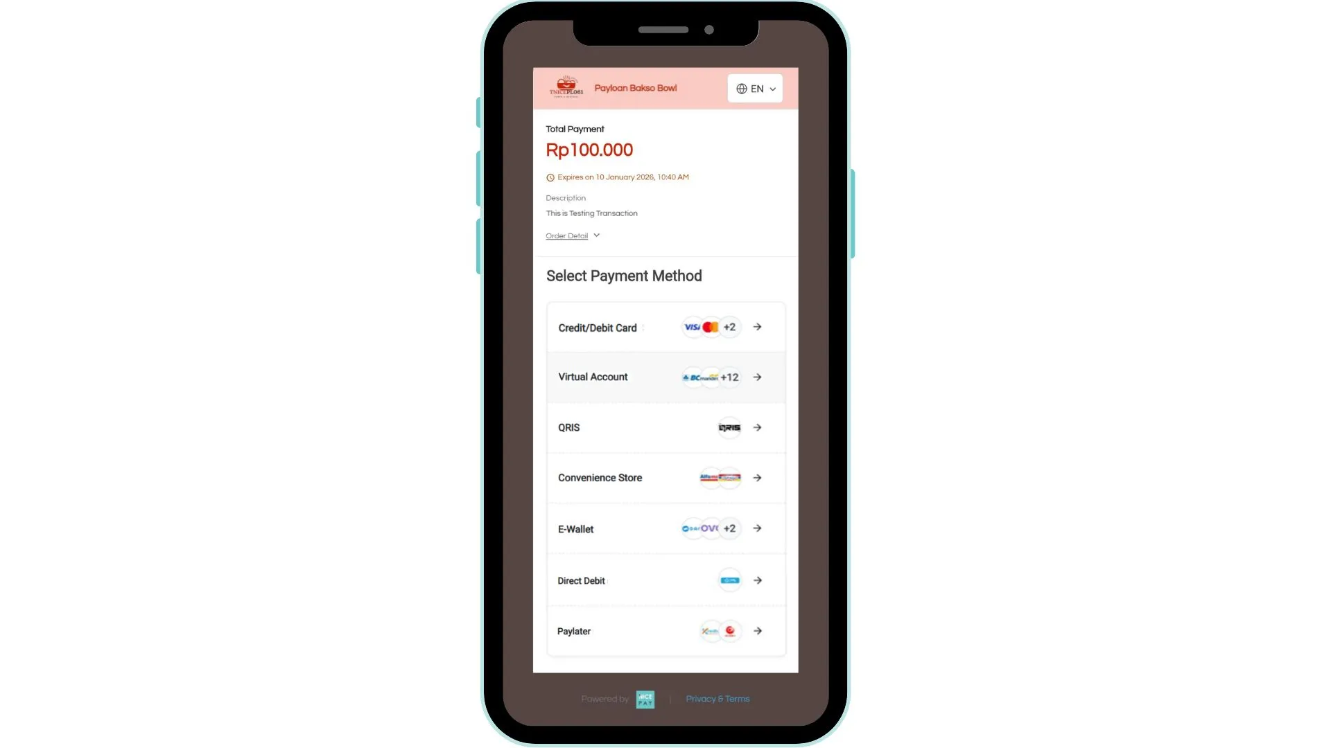 Custom Payment Page - Mobile Version