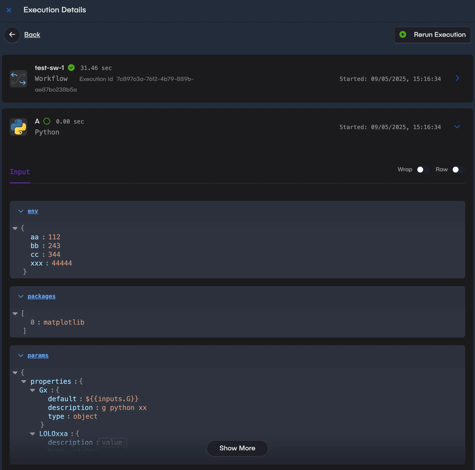 Execution Details Panel