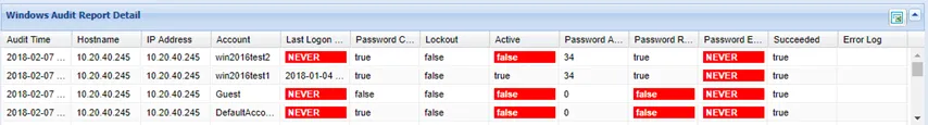 Windows Audit Report Details