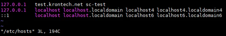 hostname/domain hostname/domain