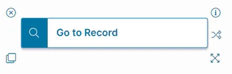 Go to Record action block shown on its own
