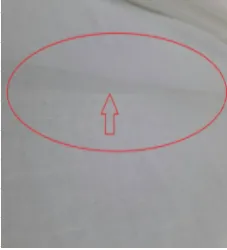 Document image Document image