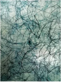 Document image Document image