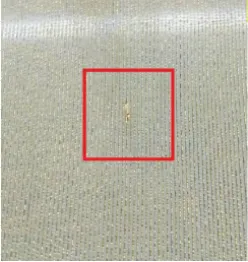 Document image Document image