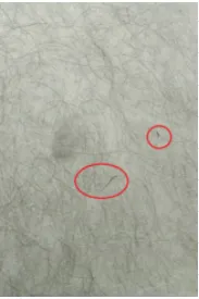 Document image Document image