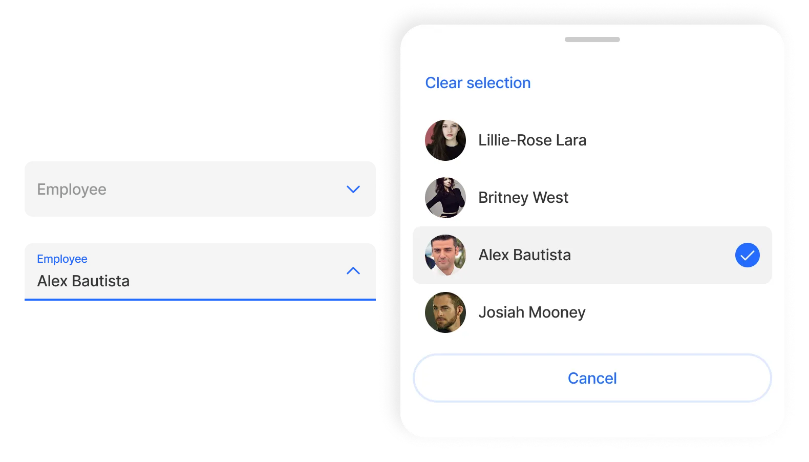 Dropdown preview Dropdown preview