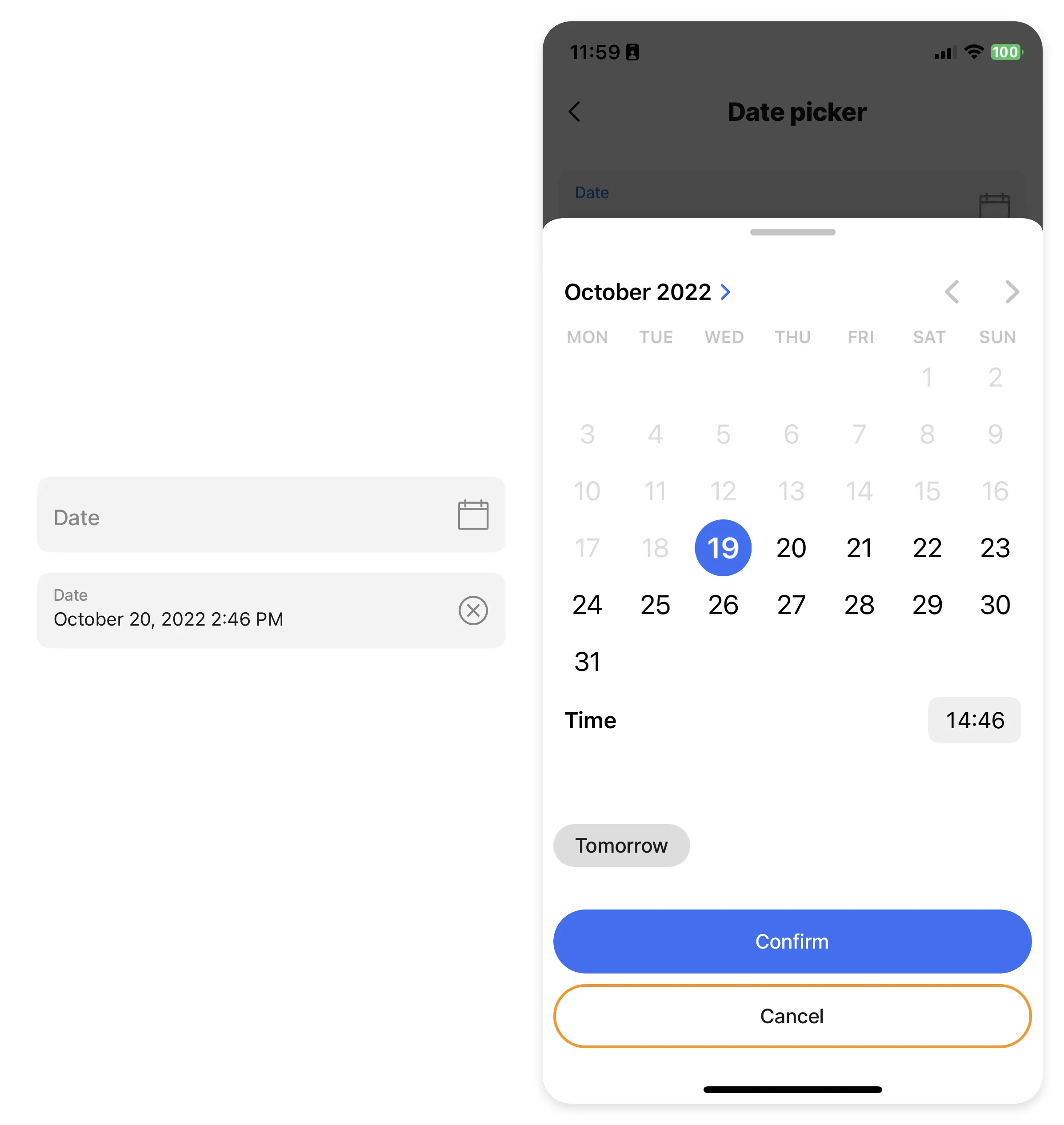 Date Picker Date Picker