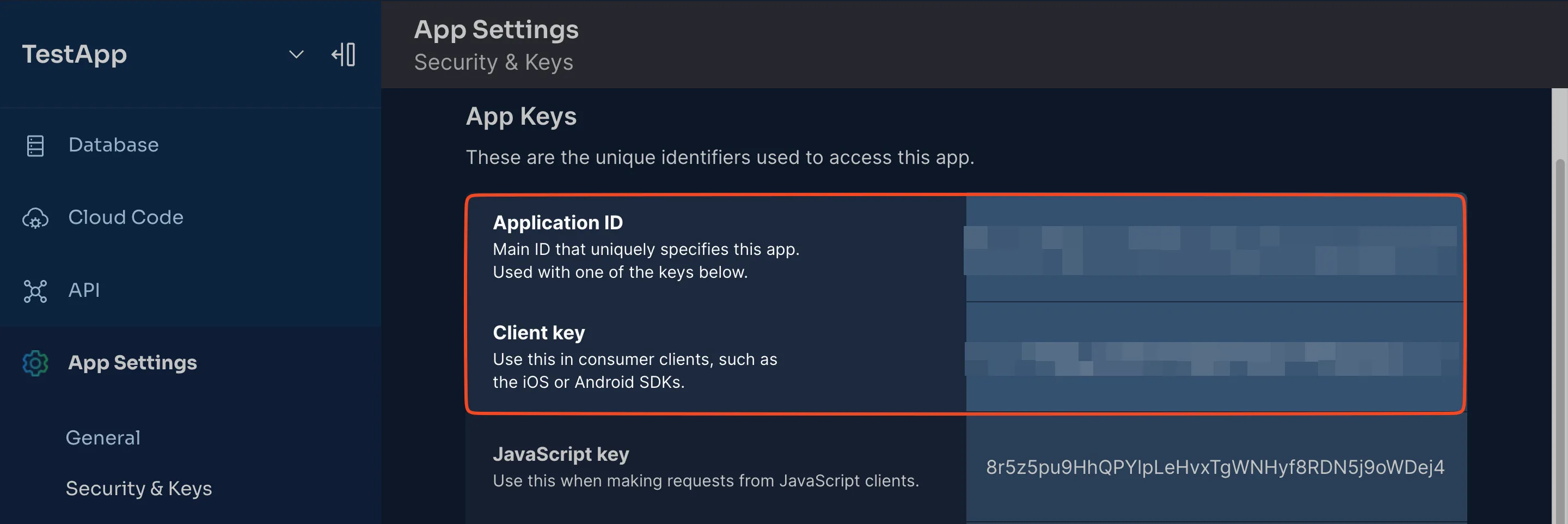 Image of the backend app ID Image of the backend app ID