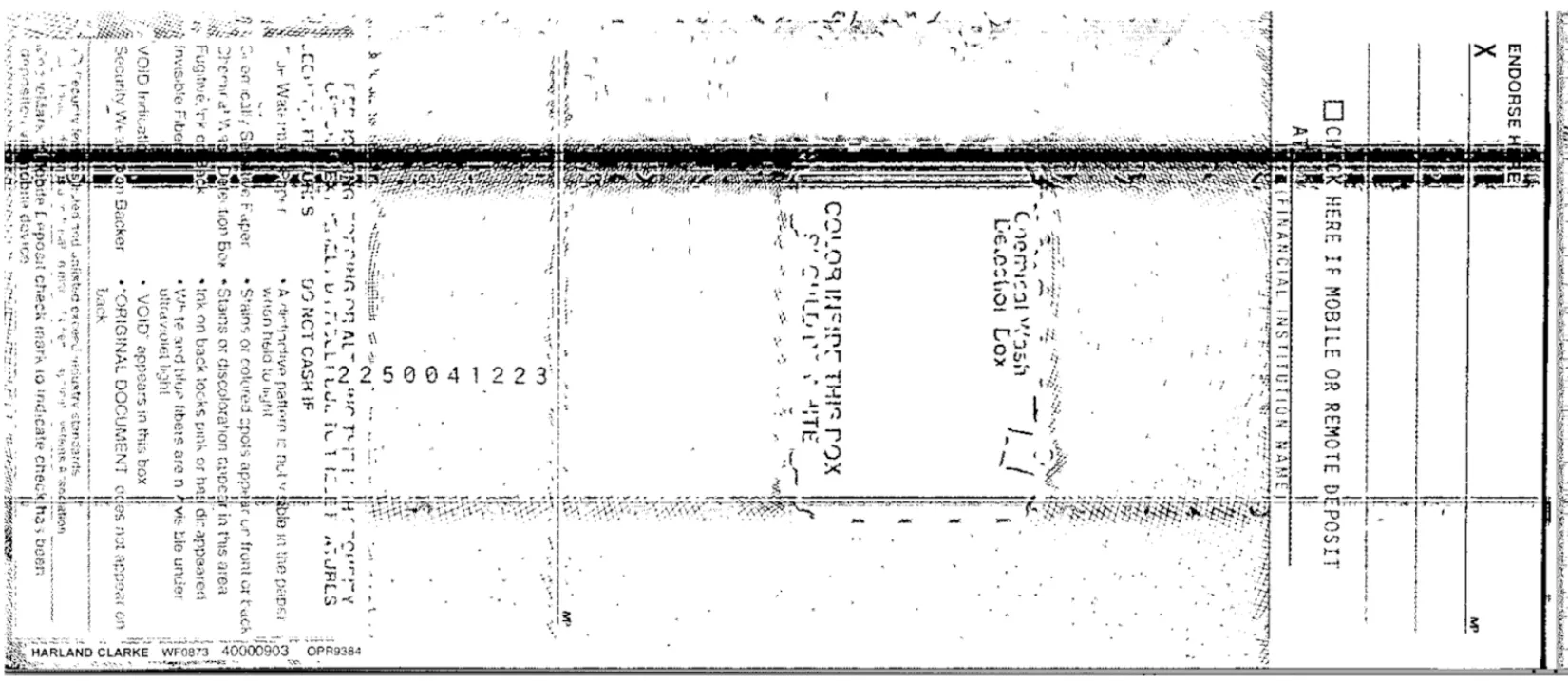 Back view of check