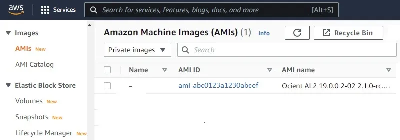 Amazon Machine Images (AMIs)